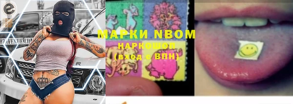 ECSTASY Белокуриха