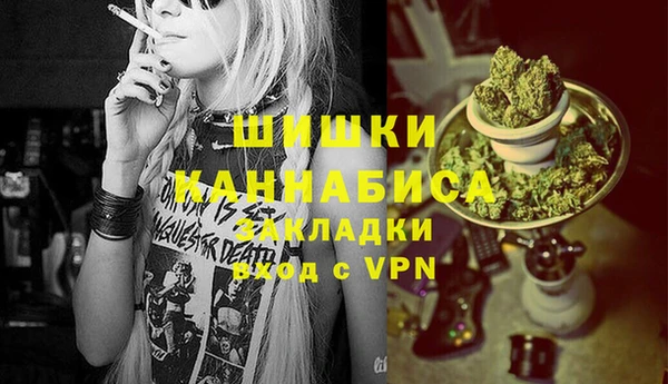 ECSTASY Белокуриха