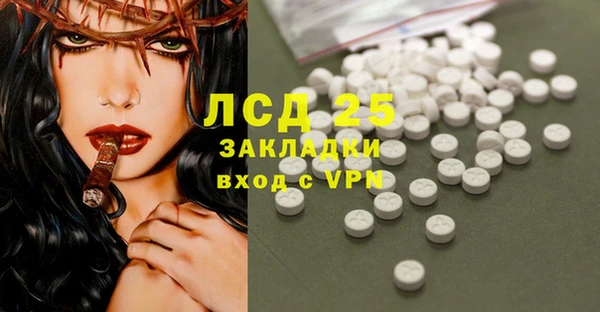 ECSTASY Белокуриха