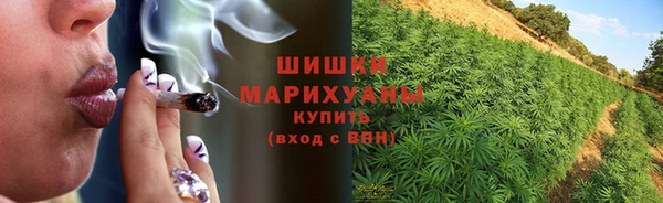 ECSTASY Белокуриха